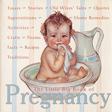 portada The Little big Book of Pregnancy 