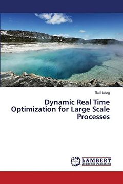 portada Dynamic Real Time Optimization for Large Scale Processes