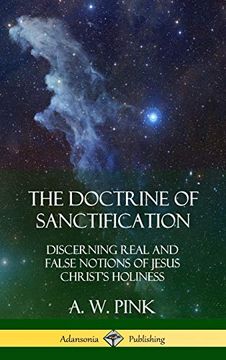 portada The Doctrine of Sanctification: Discerning Real and False Notions of Jesus Christ's Holiness (Hardcover) (en Inglés)