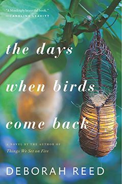 portada The Days When Birds Come Back (in English)