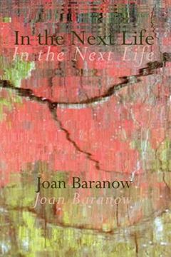 portada In the Next Life (in English)