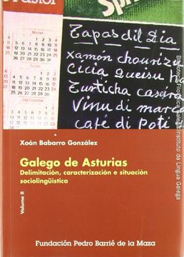 portada galego de asturias (2 vols. ) delimitacion, caracterizacion e situacion sociolin