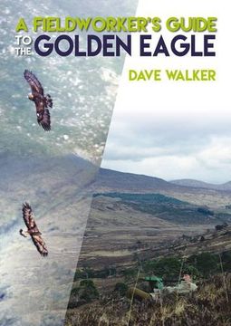 portada A Fieldworker's Guide to the Golden Eagle (en Inglés)