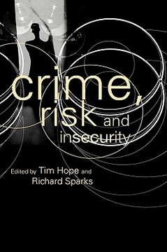 portada crime, risk and insecurity: law and order in everyday life and political discourse (en Inglés)