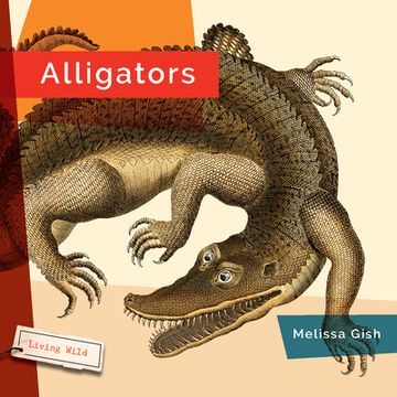 portada Alligators (en Inglés)