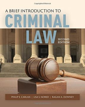 portada A Brief Introduction to Criminal Law