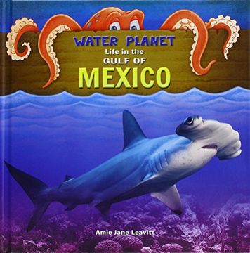 portada Gulf of Mexico (Water Planet)