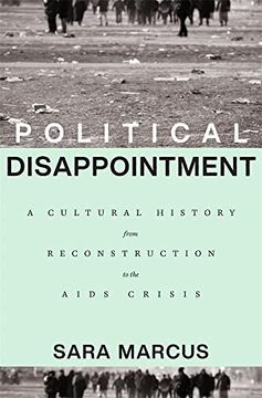portada Political Disappointment: A Cultural History From Reconstruction to the Aids Crisis (in English)
