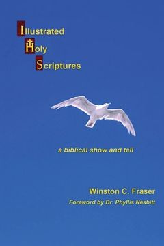 portada Illustrated Holy Scriptures - a Biblical Show and Tell (en Inglés)