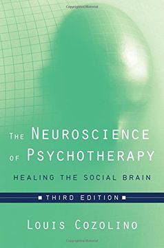 portada The Neuroscience of Psychotherapy: Healing the Social Brain (Third Edition) (Norton Series on Interpersonal Neurobiology) (en Inglés)