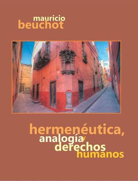portada Hermenéutica, analogía y derechos humanos (in Spanish)