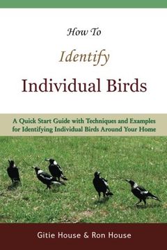portada How To Identify Individual Birds