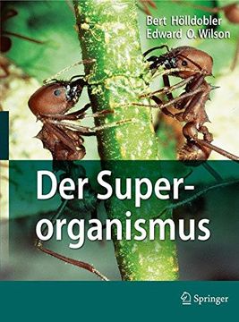 portada Der Superorganismus: Der Erfolg Von Ameisen, Bienen, Wespen Und Termiten