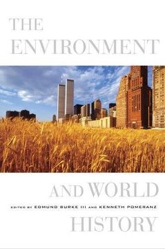 portada The Environment and World History (in English)