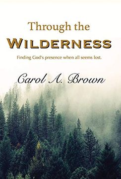 portada Through the Wilderness: Finding God's Presence When all Seems Lost. (in English)