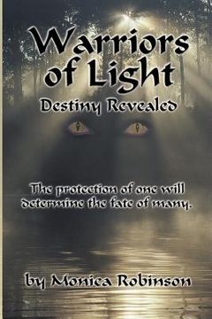 portada warriors of light: destiny revealed (en Inglés)