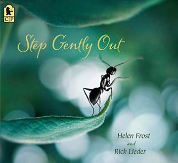 portada Step Gently out 