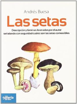 portada Las Setas (in Spanish)
