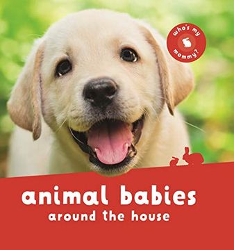 portada Animal Babies Around the House (en Inglés)