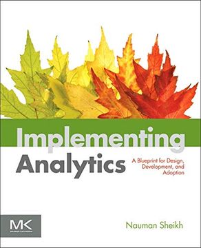 portada Implementing Analytics: A Blueprint for Design, Development, and Adoption (The Morgan Kaufmann Series on Business Intelligence) 