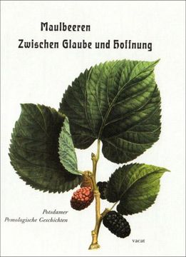 portada Maulbeeren - Zwischen Glaube und Hoffnung: Potsdamer Pomologische Geschichten (en Alemán)