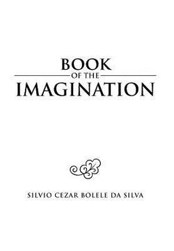 portada book of the imagination
