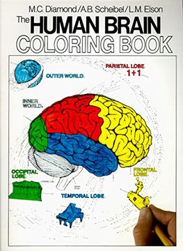 portada The Human Brain Coloring Book (Coloring Concepts) (en Inglés)