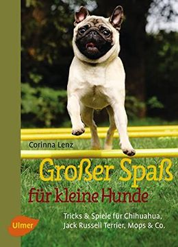 portada Großer Spaß für Kleine Hunde: Tricks & Spiele für Chihuahua, Jack Russell Terrier, Mops & co. (en Alemán)