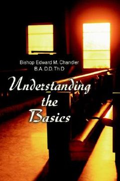 portada understanding the basics (en Inglés)