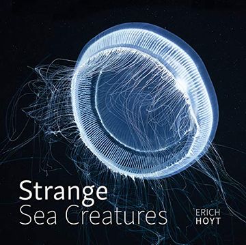 portada Strange sea Creatures (in English)