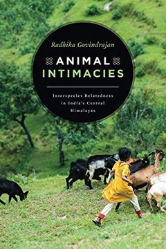 portada Animal Intimacies: Interspecies Relatedness in India's Central Himalayas (Animal Lives) (in English)