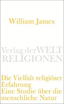 portada Die Vielfalt Religiöser Erfahrung (en Alemán)