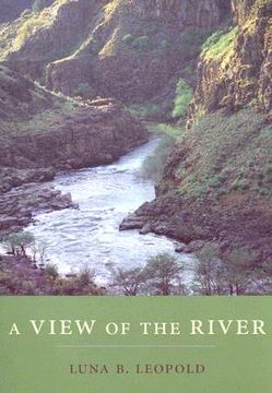 portada A View of the River (en Inglés)