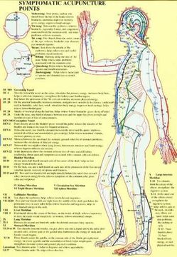 portada Symptomatic Acupuncture Points