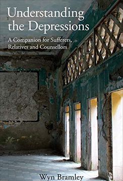 portada Understanding the Depressions: A Companion for Sufferers, Relatives and Counsellors (en Inglés)