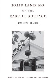 portada Brief Landing on the Earth's Surface (en Inglés)
