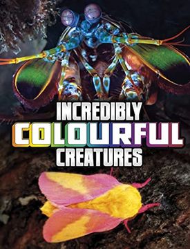 portada Incredibly Colourful Creatures (Unreal but Real Animals)