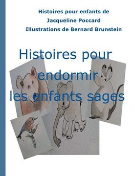 portada Histoires pour endormir les enfants sages (in French)