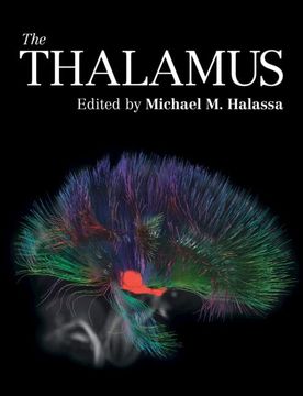 portada The Thalamus