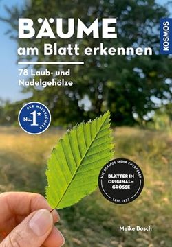 portada B? Ume am Blatt Erkennen - 78 Laub- und Nadelgeh? Lze. Bla Tter in Originalgr? Er (in German)