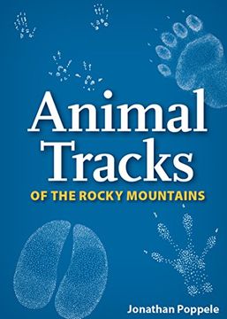 portada Animal Tracks of the Rocky Mountains Playing Cards (Nature's Wild Cards) (in English)