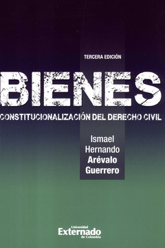 portada BIENES CONSTITUCIONALIZACION (3ª ED) DEL DERECHO CIVIL (in Spanish)