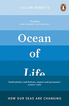 portada Ocean of Life