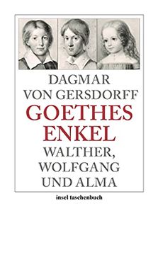 portada Goethes Enkel: Walther, Wolfgang und Alma (Insel Taschenbuch) (in German)