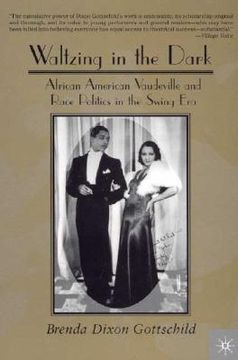 portada waltzing in the dark: african american vaudeville and race politics in the swing era (in English)