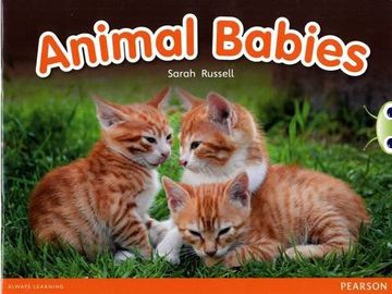 portada Bug Club Independent non Fiction Reception red b Animal Babies (en Inglés)