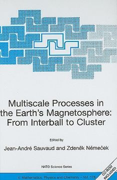 portada multiscale processes in the earth's magnetosphere: from interball to cluster: proceedings of the nato arw on multiscale processes in the earth's magne