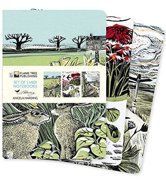 portada Angela Harding set of 3 Midi Notebooks – Landscapes (Midi Notebook Collections) 