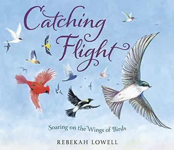 portada Catching Flight: Soaring on the Wings of Birds (en Inglés)