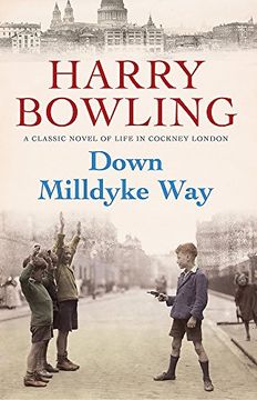 portada Down Milldyke Way: A Touching Saga of Heartbreak, Grit and Emotion (in English)